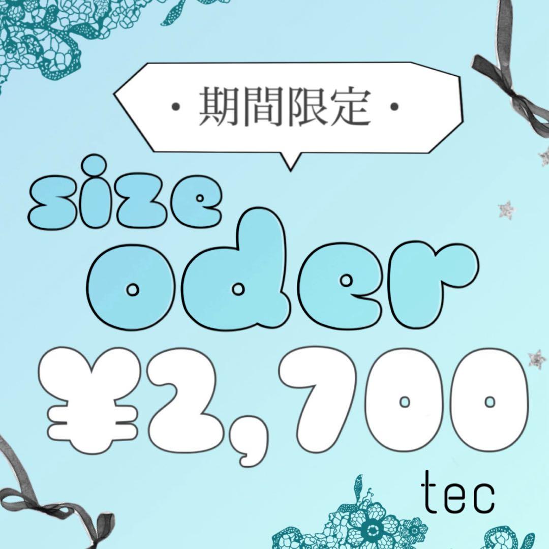 〈早い者勝ち枠 〉ネイルチップ　オーダー　韓国　ニュアンスネイル