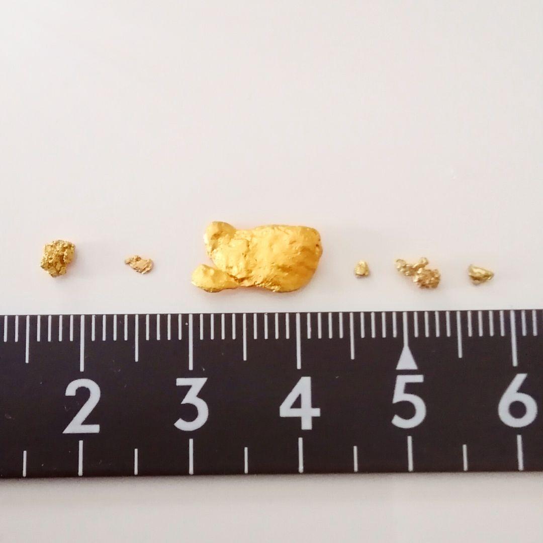 【北海道産】特大含む、天然砂金６粒セット☆自由研究素材やコレクション、蓄財に♪