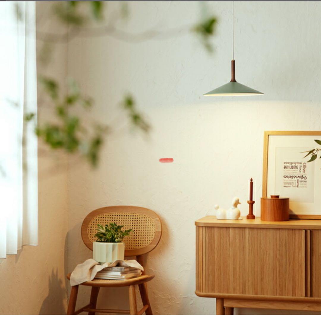 ⭐︎50%off⭐︎APROZ PERKINS ペンダントライト グリーン