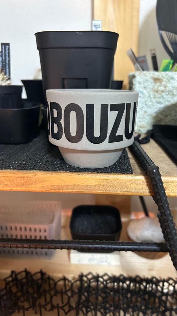 VALIEM バリエム　aobouzu 鉢