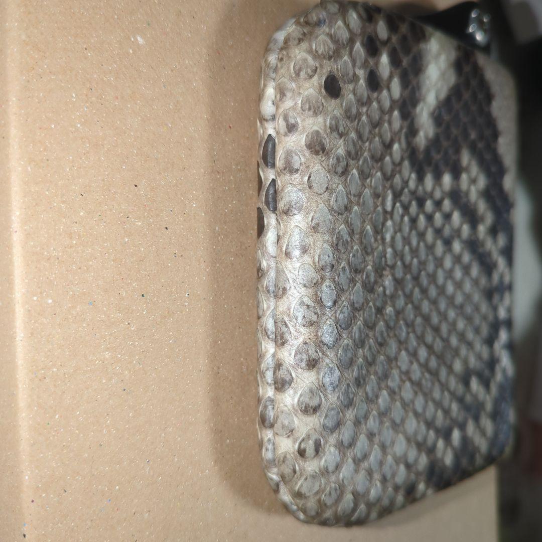 ワイルドスワンズ ノーマS パイソン WILDSWANS NORMAS