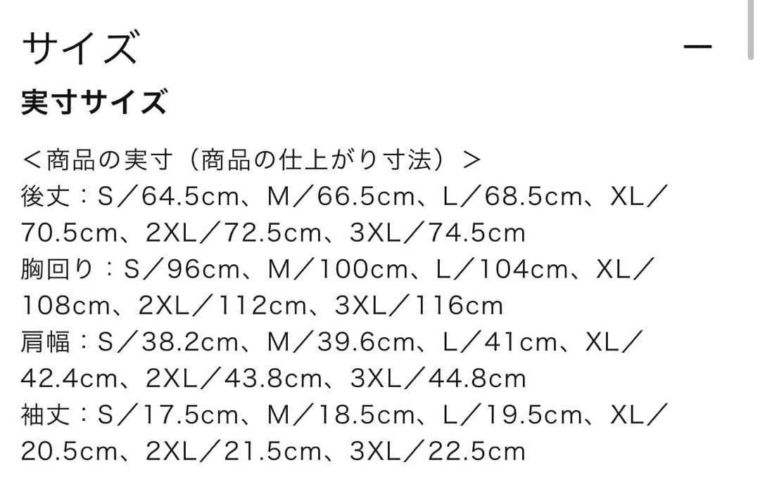 新品★ミズノ2025国スポ限定ポロシャツ限定デザイン国民スポーツ大会国体3XL