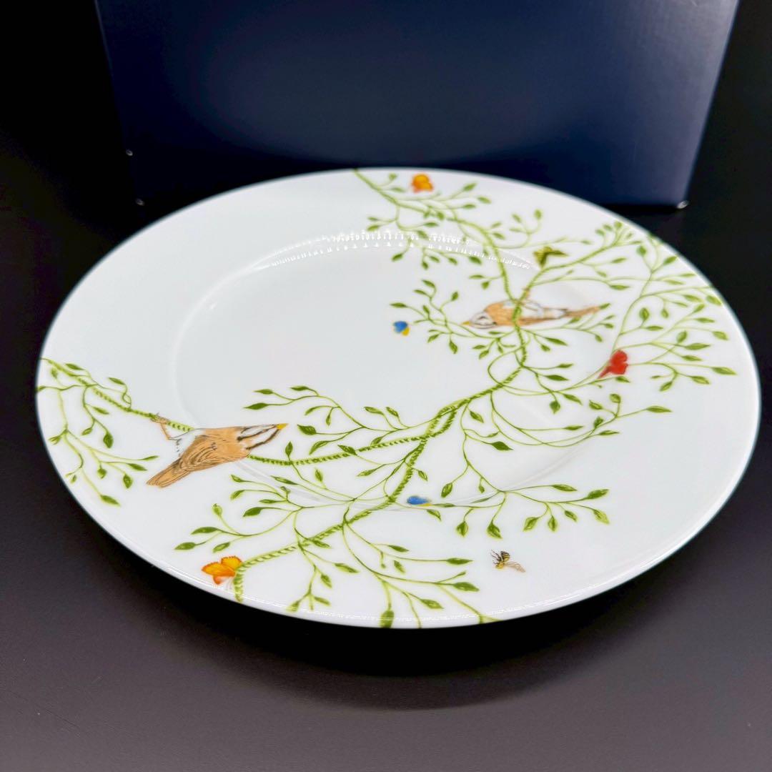 RAYNAUD ヒストリーナチュール　ブラウンバード22cm 6枚セット　箱付