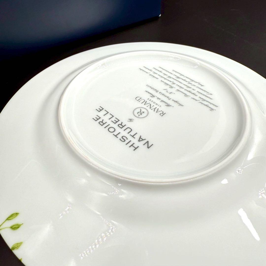 RAYNAUD ヒストリーナチュール　ブラウンバード22cm 6枚セット　箱付