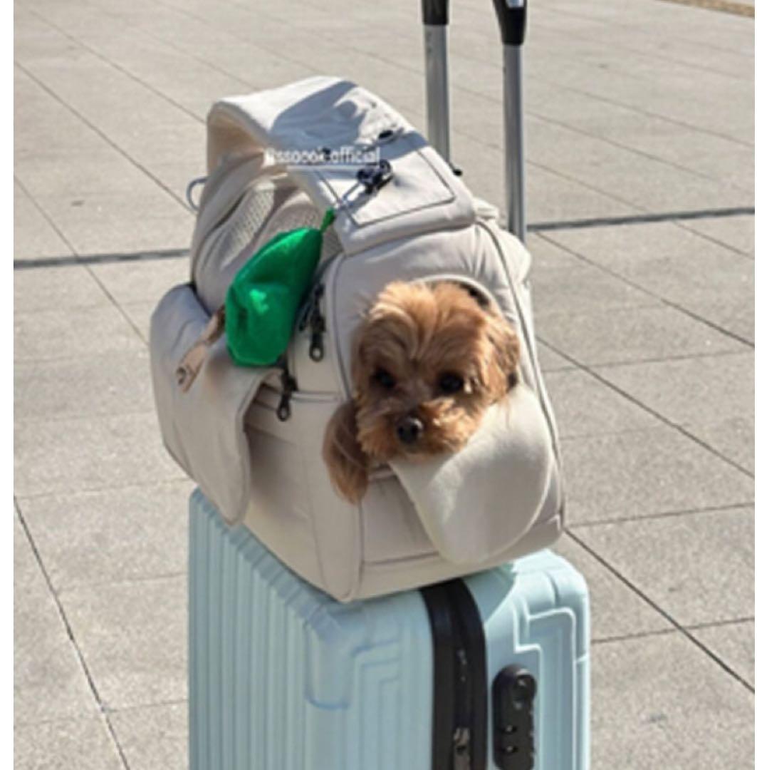 ssoook スリングバッグ V.スマートMバッグ左側 + インナーブランケット