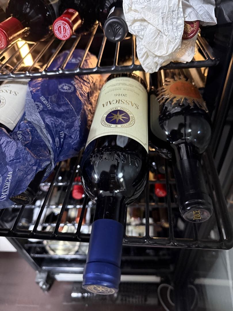 サッシカイア 2016年