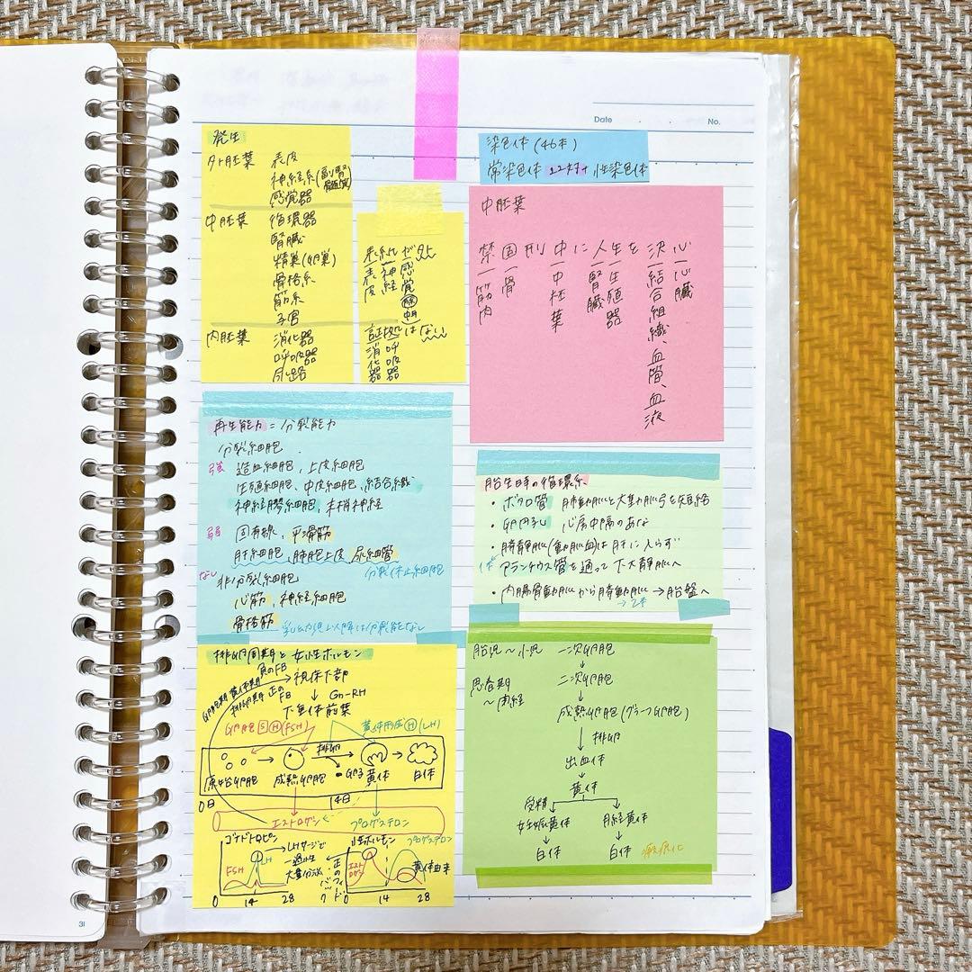 【原本発送】臨床検査技師国家試験 付箋ノート　ファイル2冊分