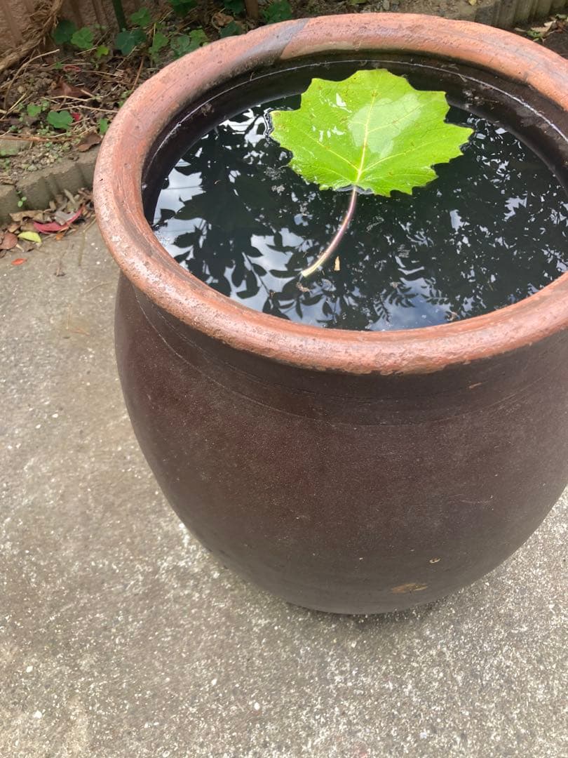 存在感抜群！時代物 陶器の大型甕 古い壺 。茶褐色。和モダン 62センチ