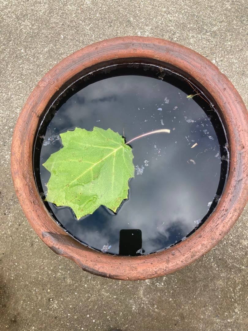 存在感抜群！時代物 陶器の大型甕 古い壺 。茶褐色。和モダン 62センチ