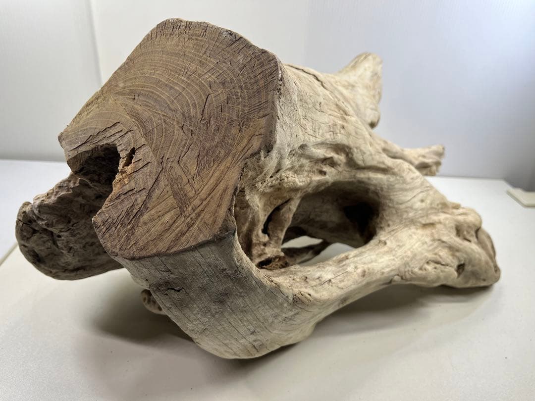 T90特大流木 大型流木 アク抜き済み 漂白処理 爬虫類シェルター インテリア