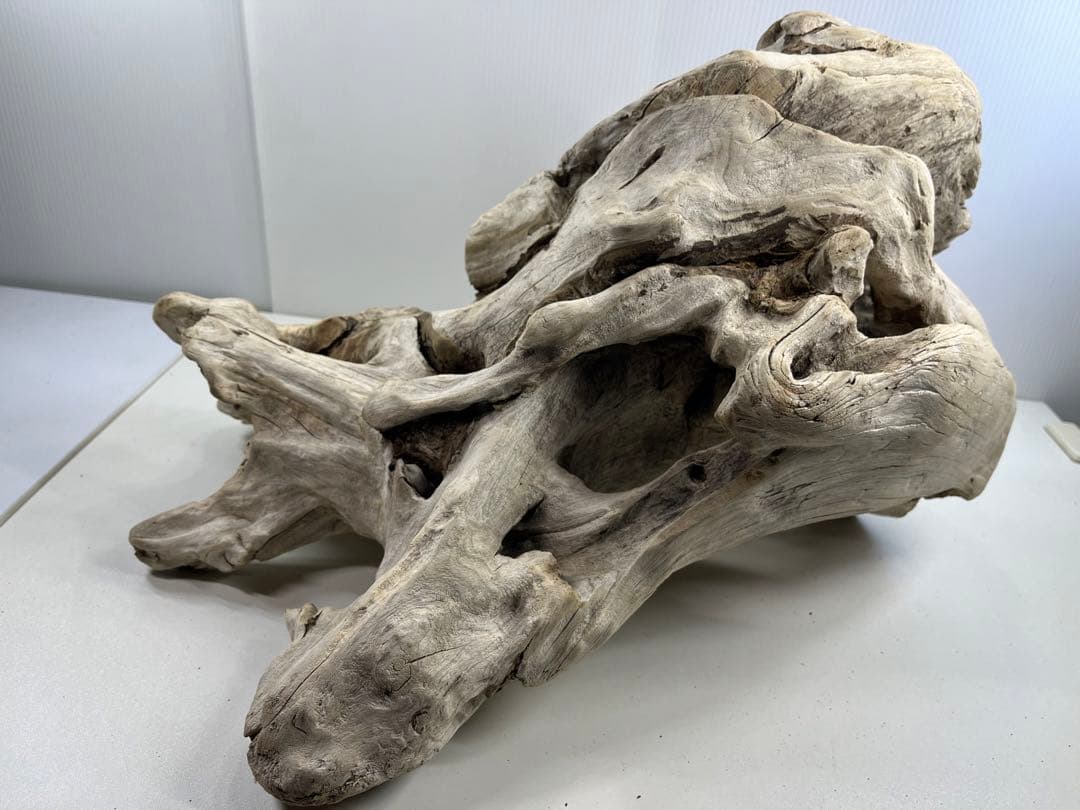 T90特大流木 大型流木 アク抜き済み 漂白処理 爬虫類シェルター インテリア