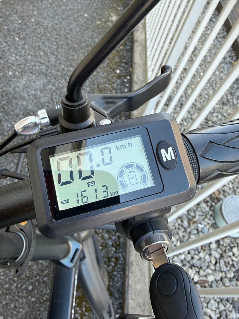 [引取のみ] Ripwheat 電動アシスト自転車 ブラック 48V