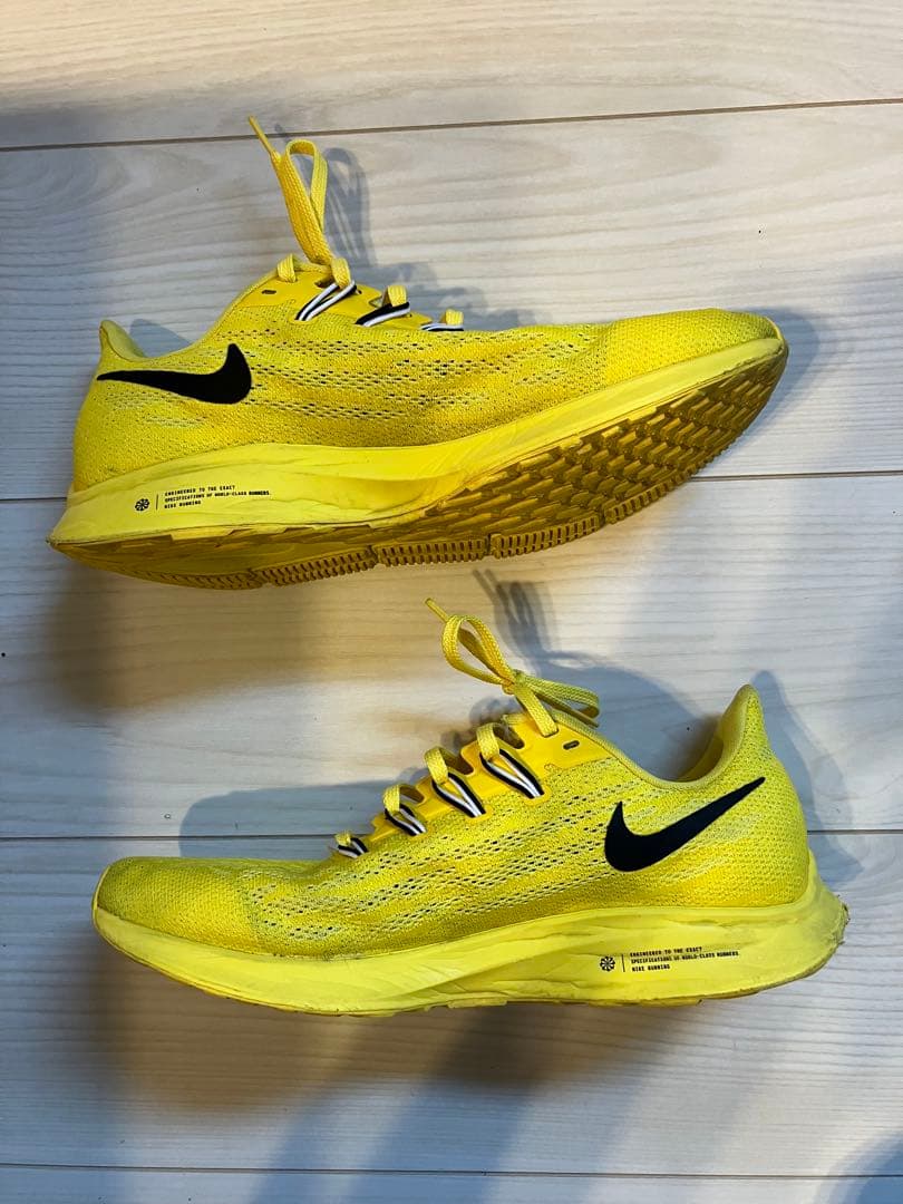 NIKE ペガサス36 コーディハドソン