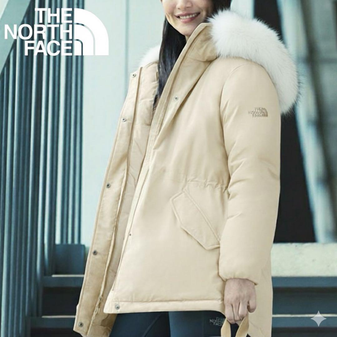 新品★ ノースフェイス　ダウンジャケットPRAISE DOWN PARK