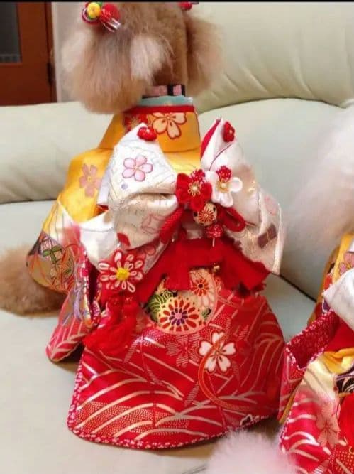 帯飾りを足してお作りし直しました。☆*花柄ピンク着物☆*　犬服　犬服用お着物