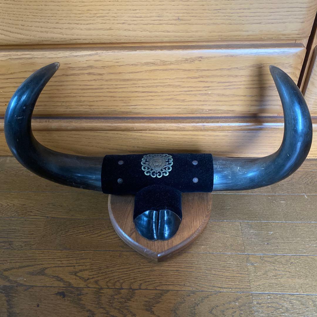 水牛の角？！　置物　壁掛け　インテリア