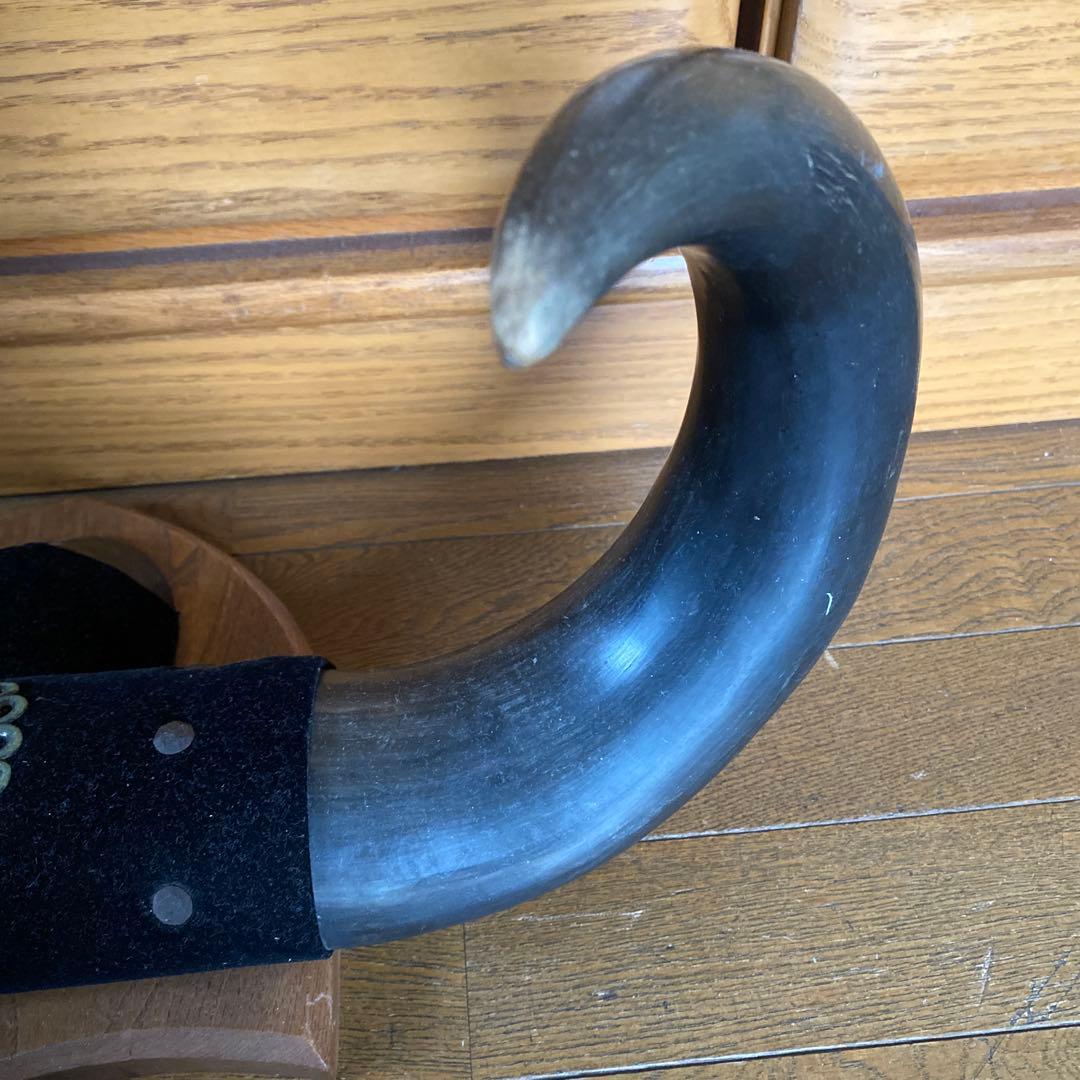 水牛の角？！　置物　壁掛け　インテリア