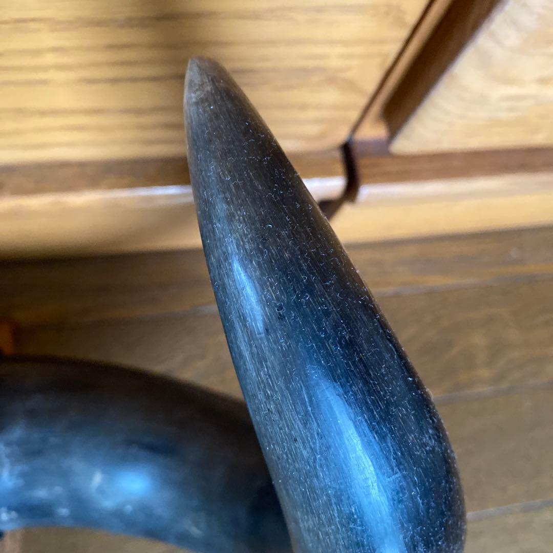 水牛の角？！　置物　壁掛け　インテリア