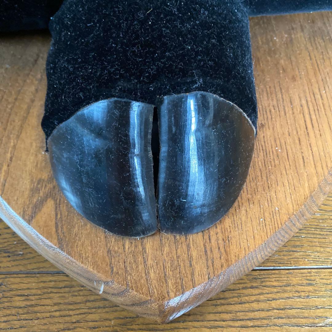 水牛の角？！　置物　壁掛け　インテリア