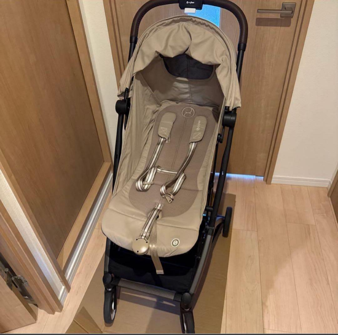 サイベックス オルフェオ 2024年モデル専用出品！