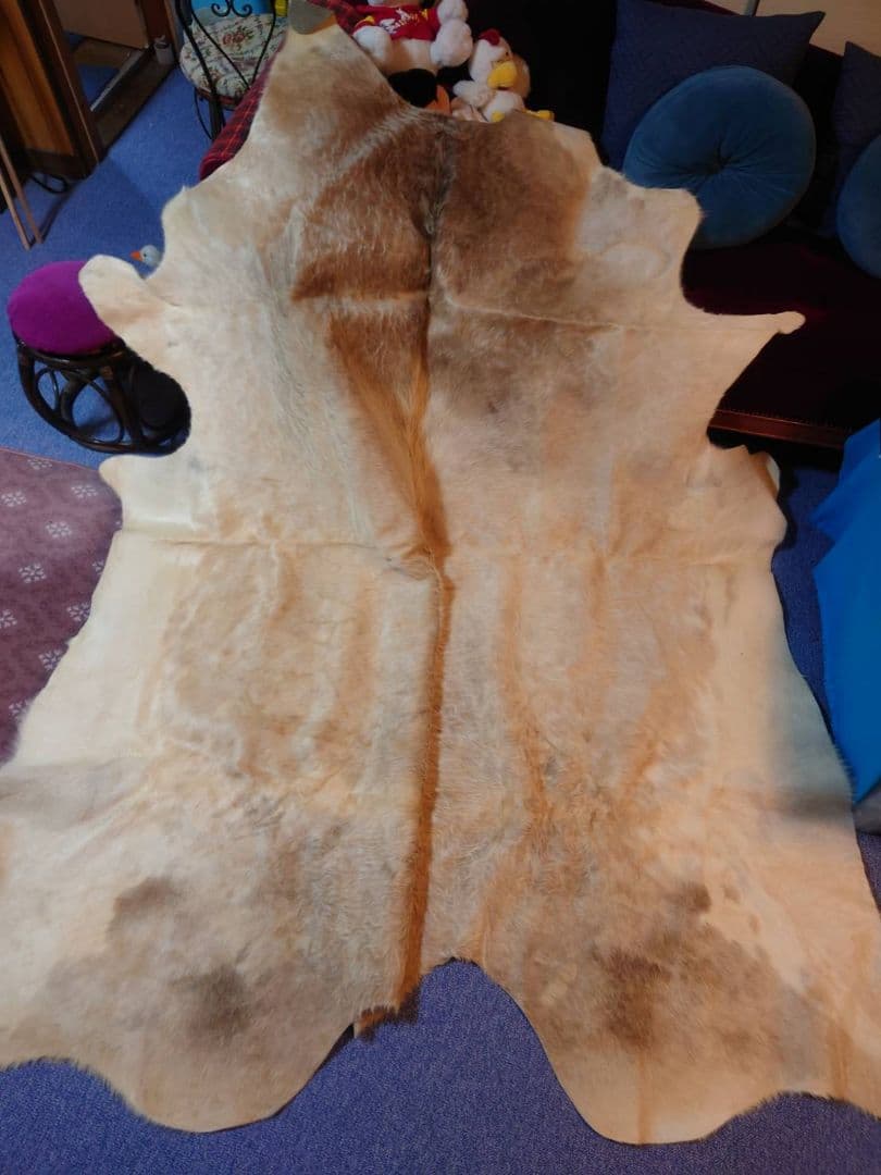 【希少品】敷物　未使用　牛革　大型　本皮　カウラグ　一点もの
