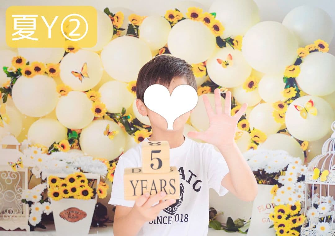 背景布【紫陽花C】サンプル　ペット、トリミング、キッズ撮影用フォトブース　梅雨