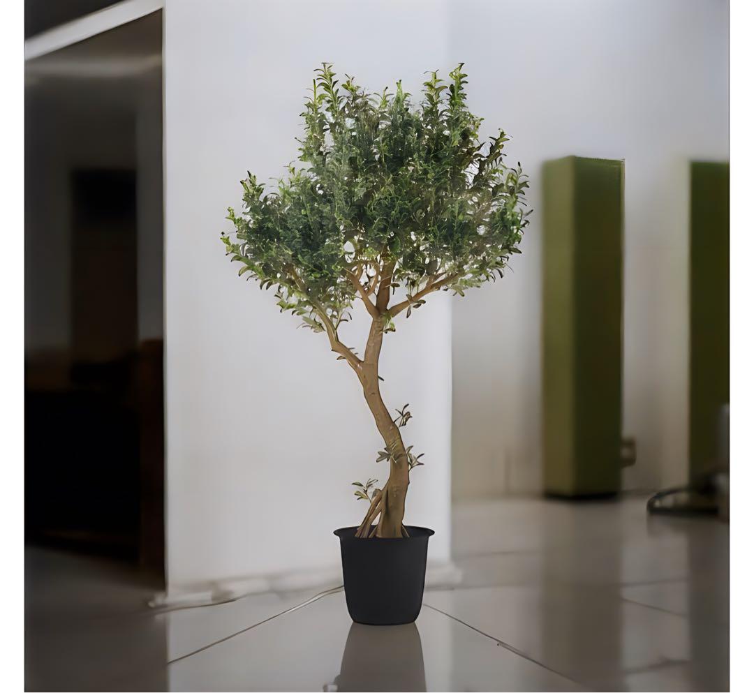 光触媒　人工観葉植物　ウォールグリーン　フェイクグリーン　オリーブ250