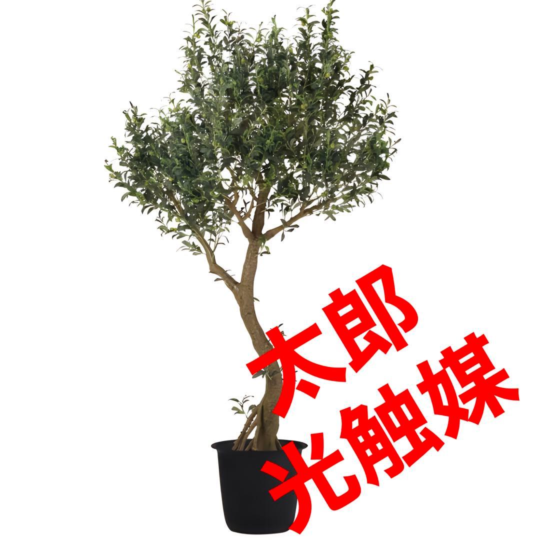 光触媒　人工観葉植物　ウォールグリーン　フェイクグリーン　オリーブ250