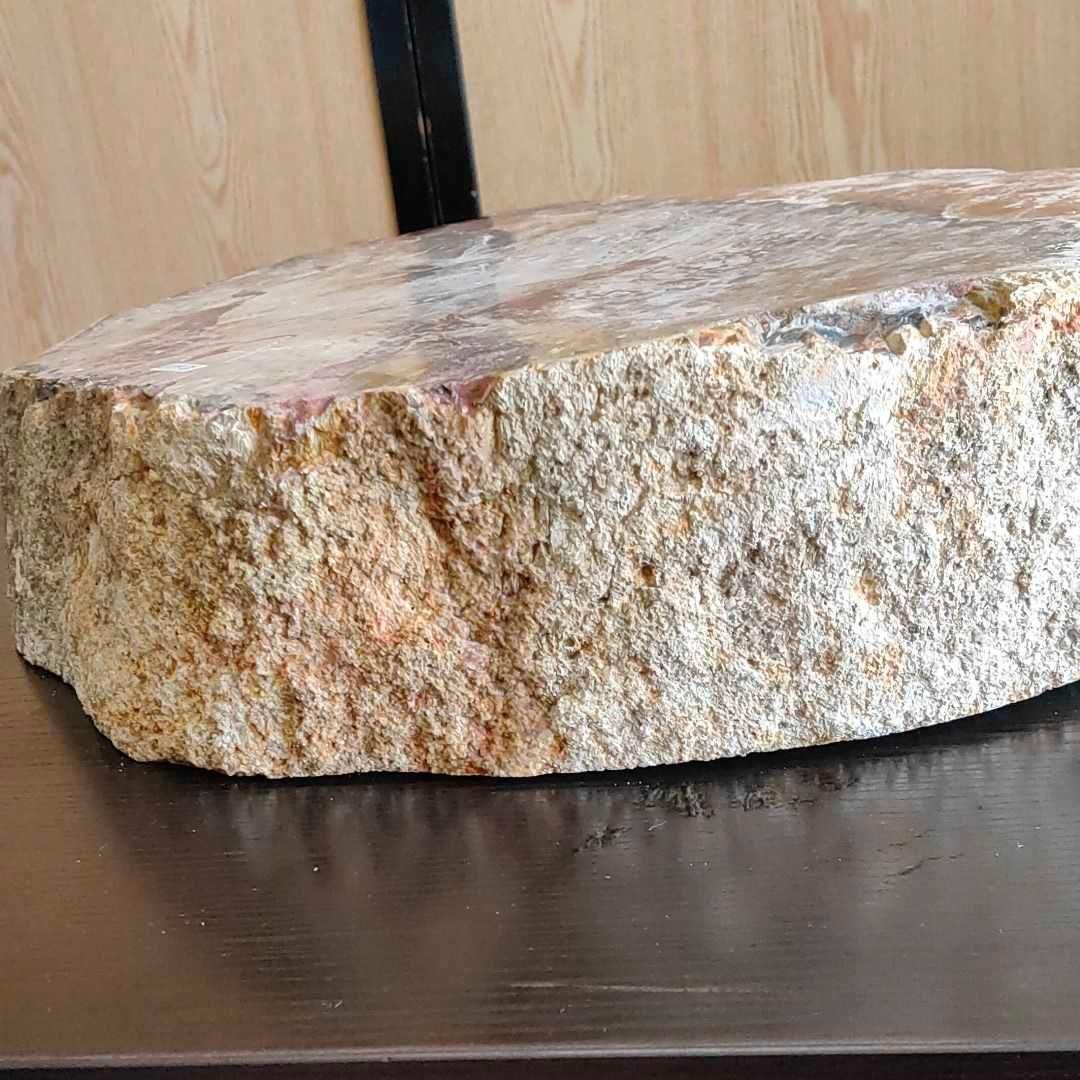 アリゾナ州で発掘された超大型珪化木の化石重量なんと21.3kg