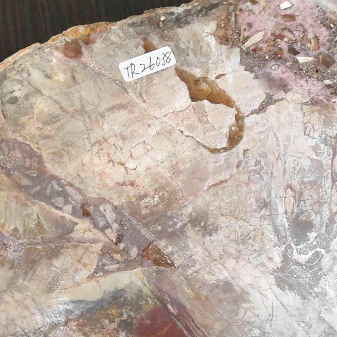 アリゾナ州で発掘された超大型珪化木の化石重量なんと21.3kg