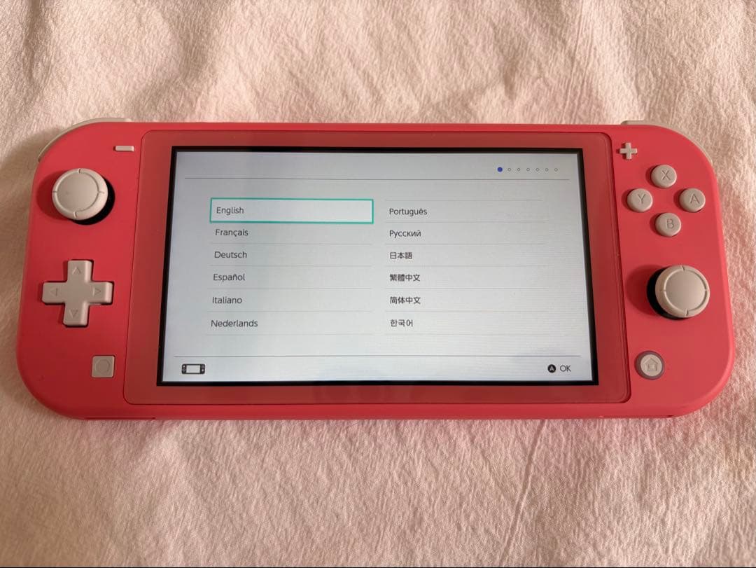 【美品】Nintendo Switch Lite 本体 ACアダプター付き