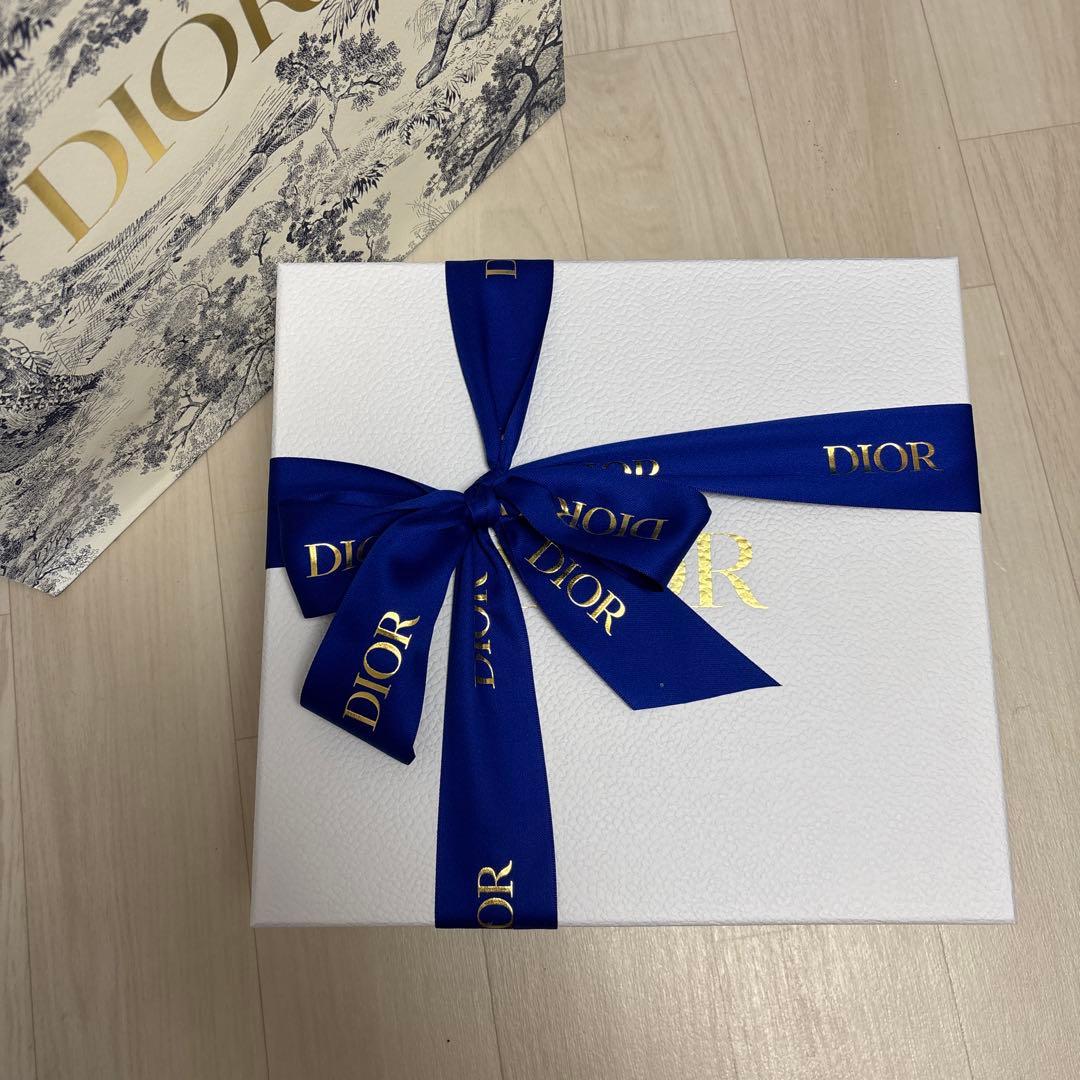 Dior コンパスデザイン 陶器皿 約23cm