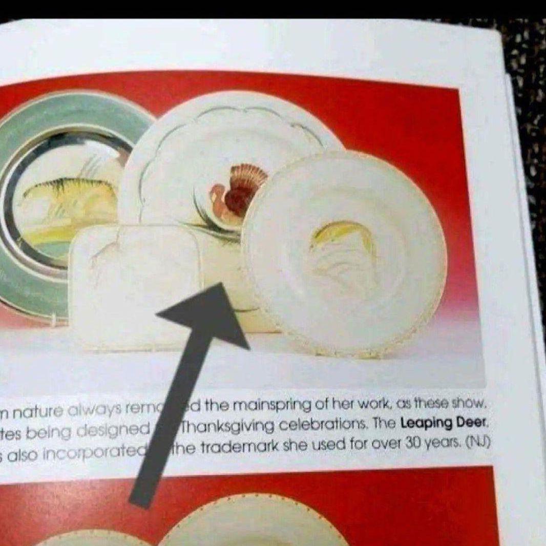 スージークーパー「七面鳥(ターキー）」大皿27cmディナープレート