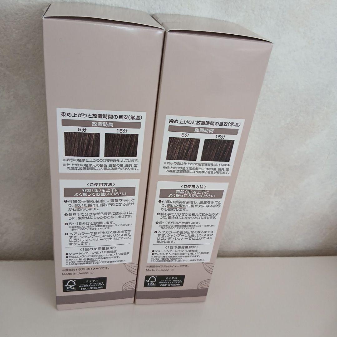 ヘアボーテエクラボタニカルエアカラーホームダークブラウン150g2本セット