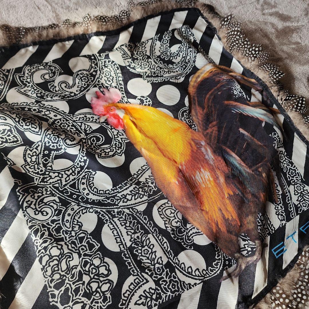 【ETRO】 エトロ シルクスカーフ リアルフェザー付 ペイズリー 鳥 ニワトリ