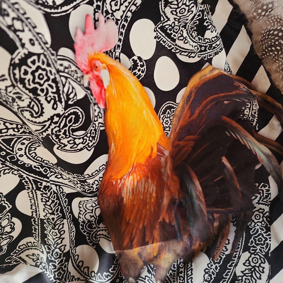 【ETRO】 エトロ シルクスカーフ リアルフェザー付 ペイズリー 鳥 ニワトリ