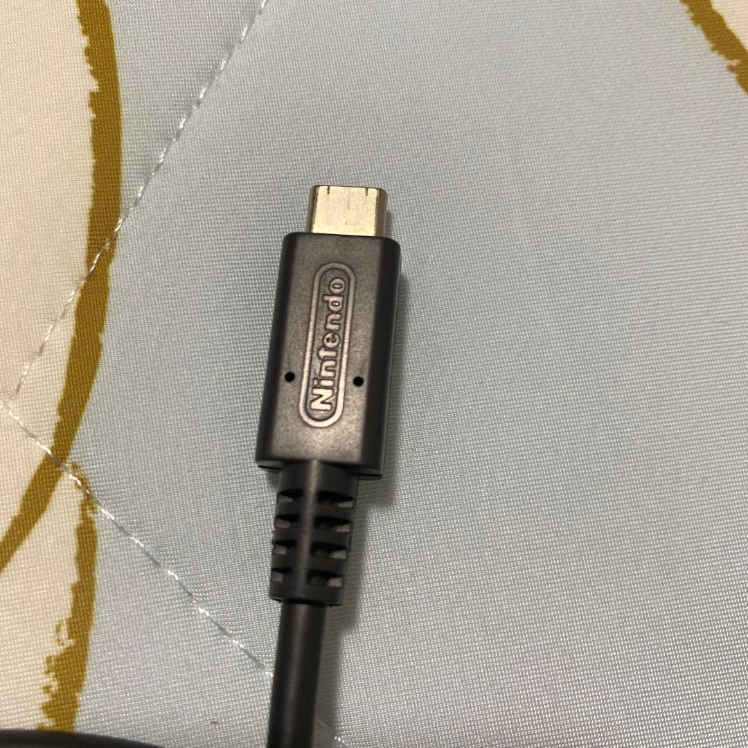 Nintendo Switch Lite ターコイズ 本体 充電器　公式ケース付