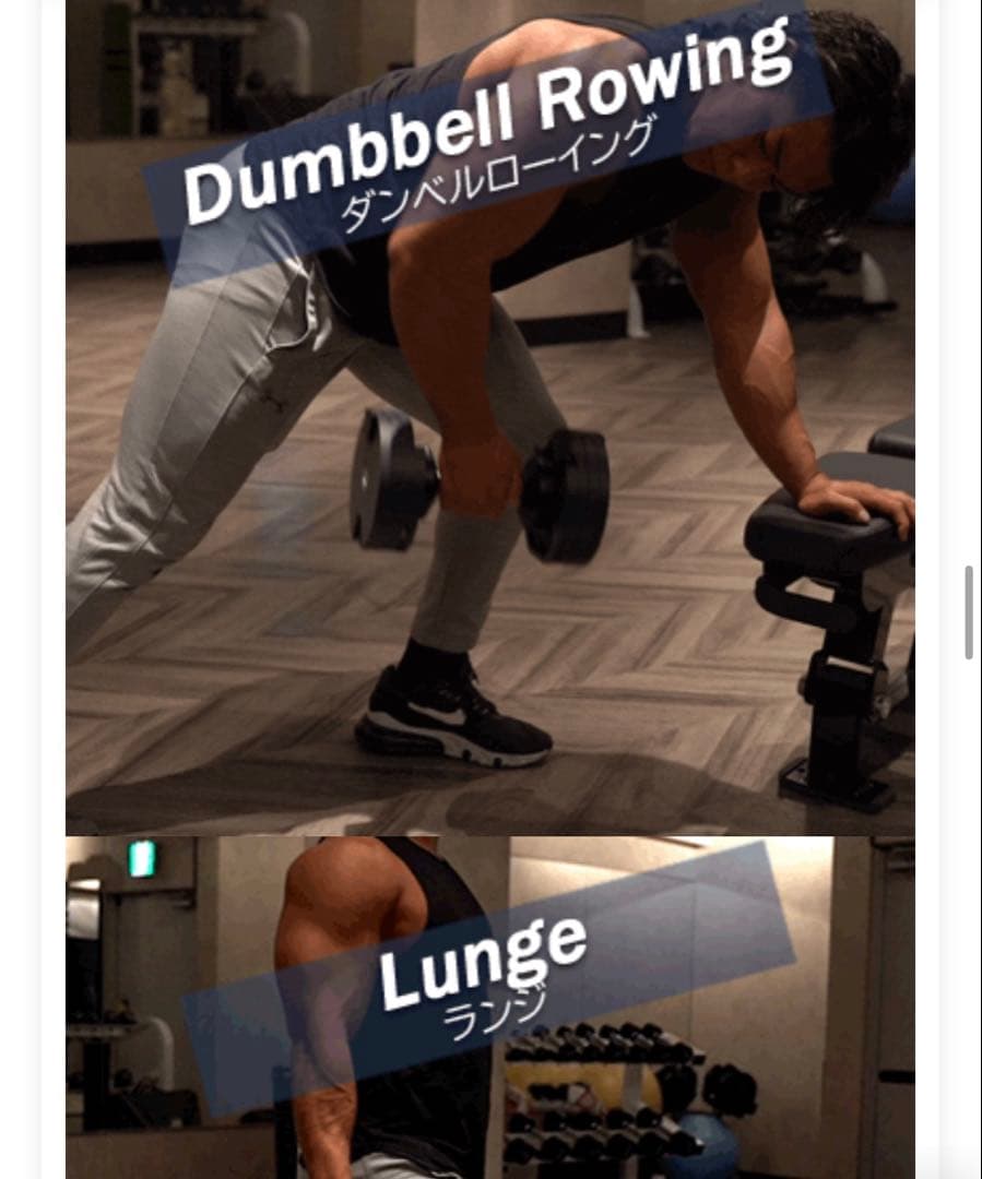 (セット品1/2) FLEXBELL フレックスベル 新型　32kg 2kg刻み