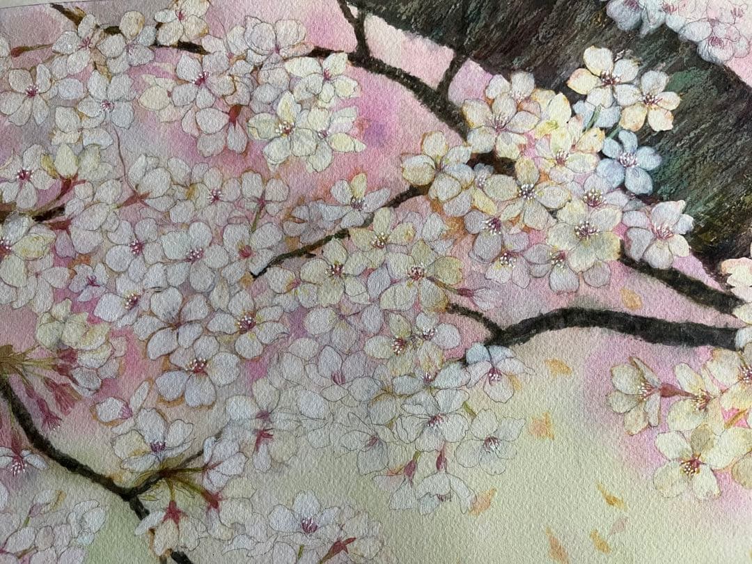 桜の下で　水彩画