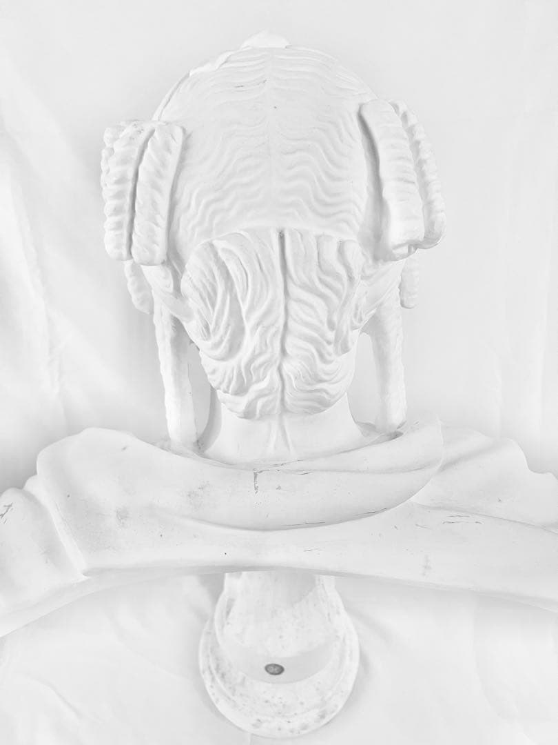 石膏像 パジャント胸像 ベレニケ