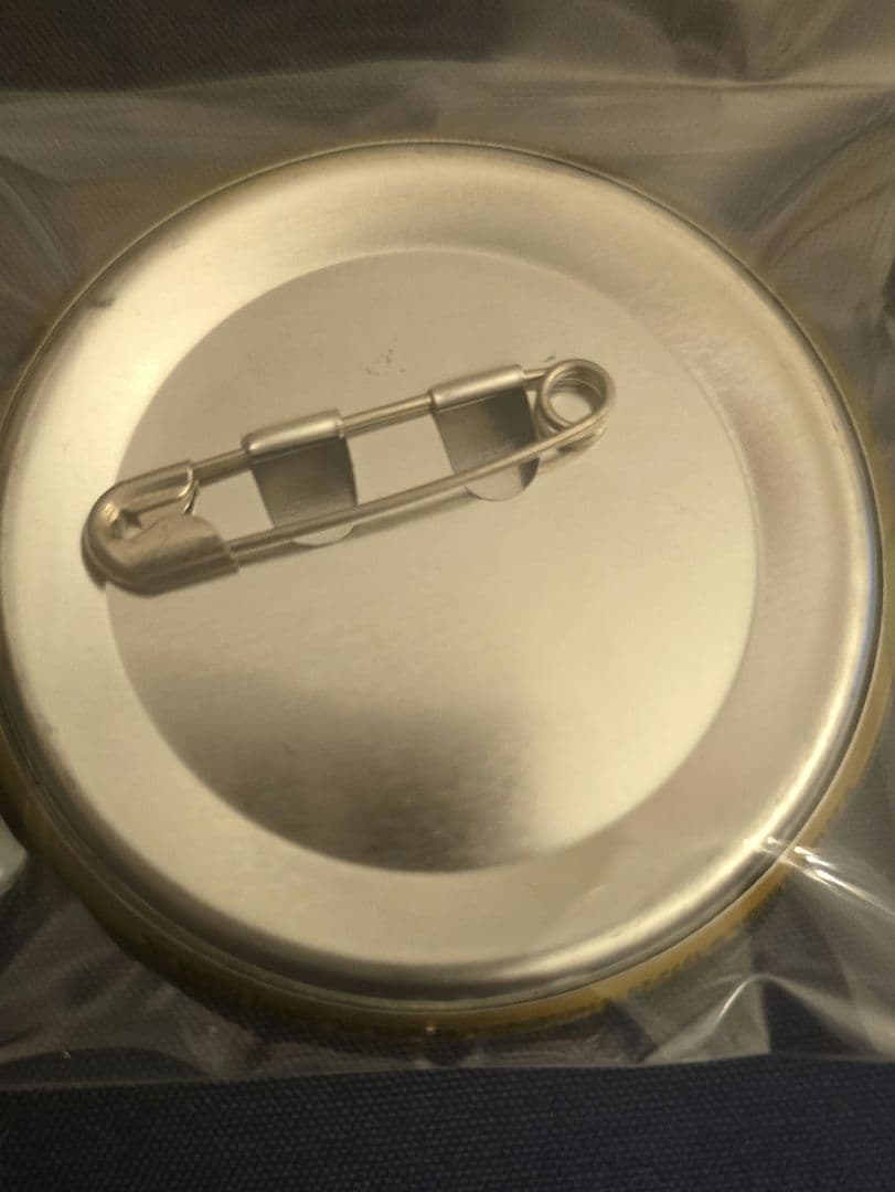 ポケモン　プラターヌ　缶バッジ　メモ　ファイル