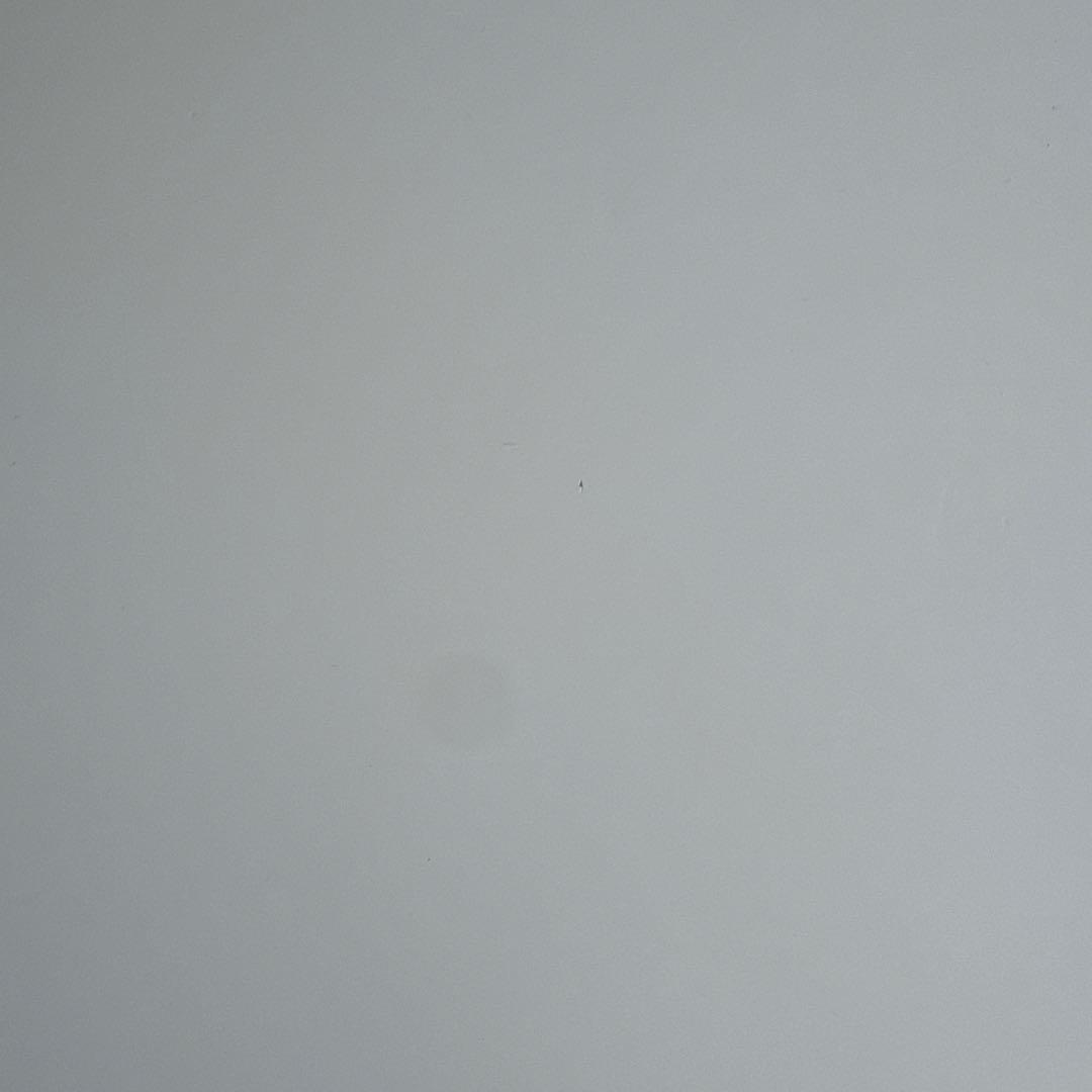 TECTA ローテーブル　K1A アクタス