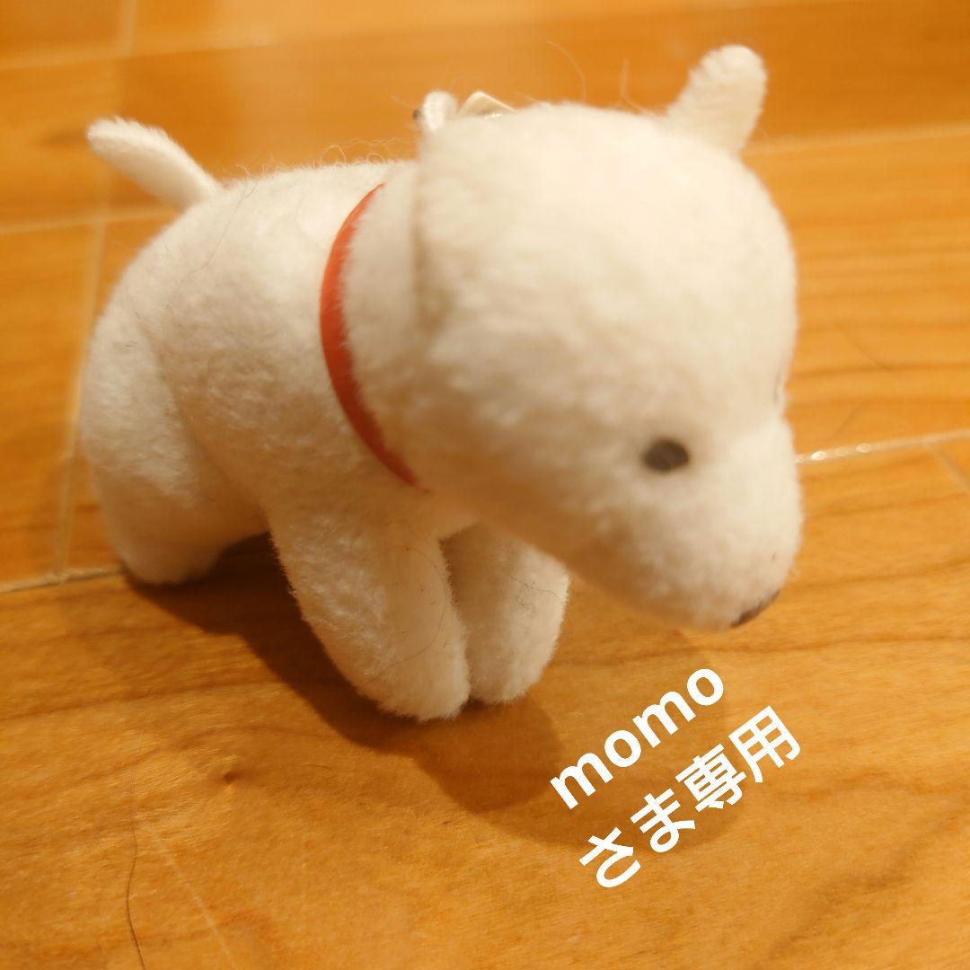 momoさま専用Lypo-C SKINBEAUTY VCエッセンス (56包)