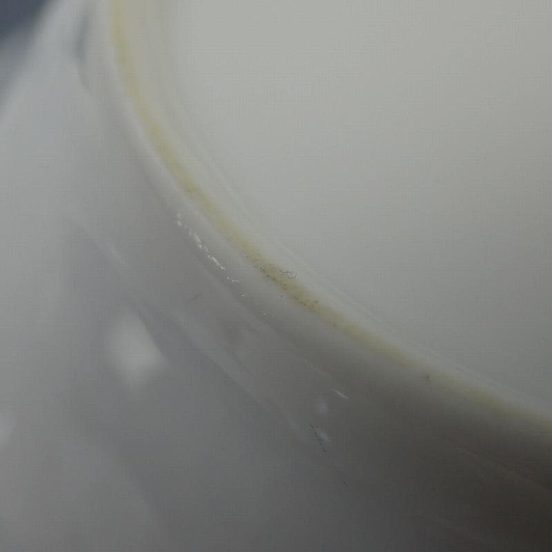 Pearl 様RU-6010　リチャードジノリ　10枚を8枚のみ