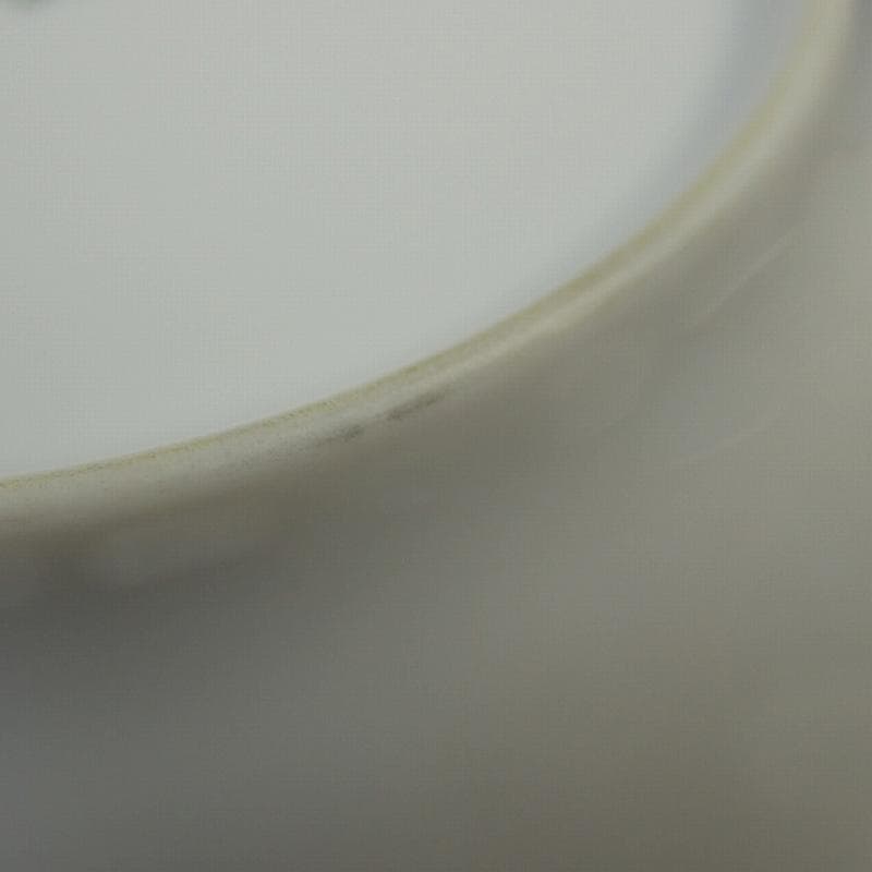 Pearl 様RU-6010　リチャードジノリ　10枚を8枚のみ