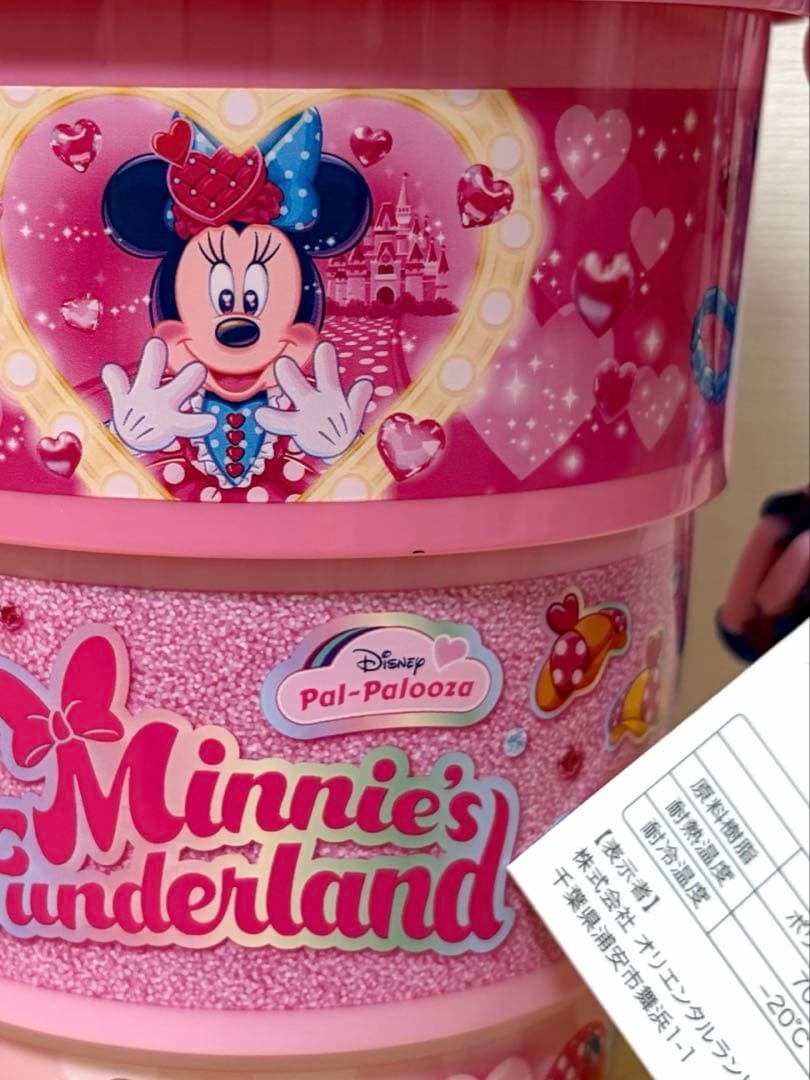 ☆限定値下げ☆ミニー パルパルーザ ポップコーンバケット ランチケース ボトル