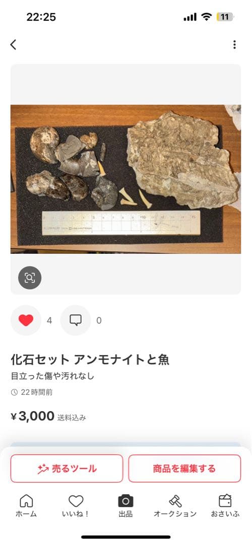 ひでさん　化石セット