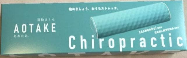 あおたけ運動枕10個　日本直販総本社