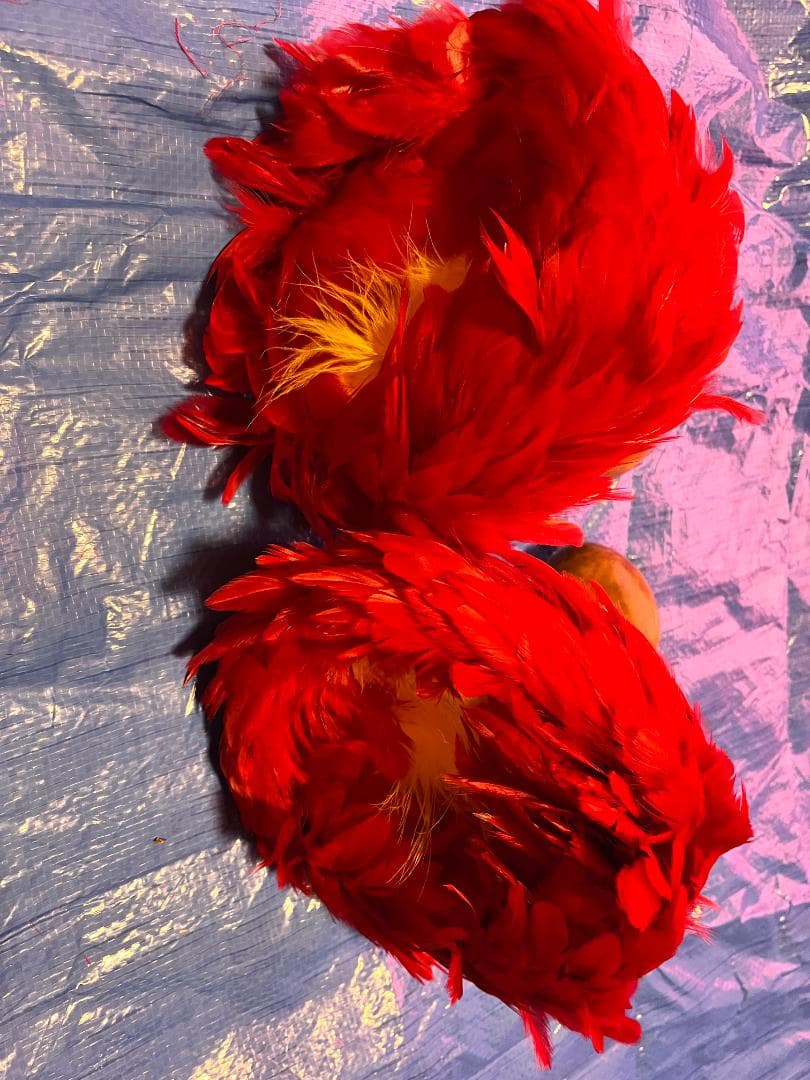 フラダンス ウリウリ 一体型 赤 羽根 フラ楽器