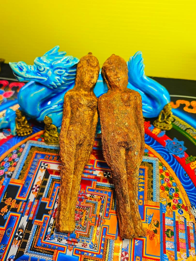 毛が生えた‼️特級呪物‼️希少‼️超特大サイズ‼️ナリーポンとマカリーポン